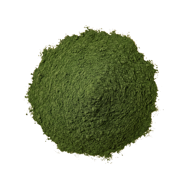 Poudre d'herbe de blé biologique