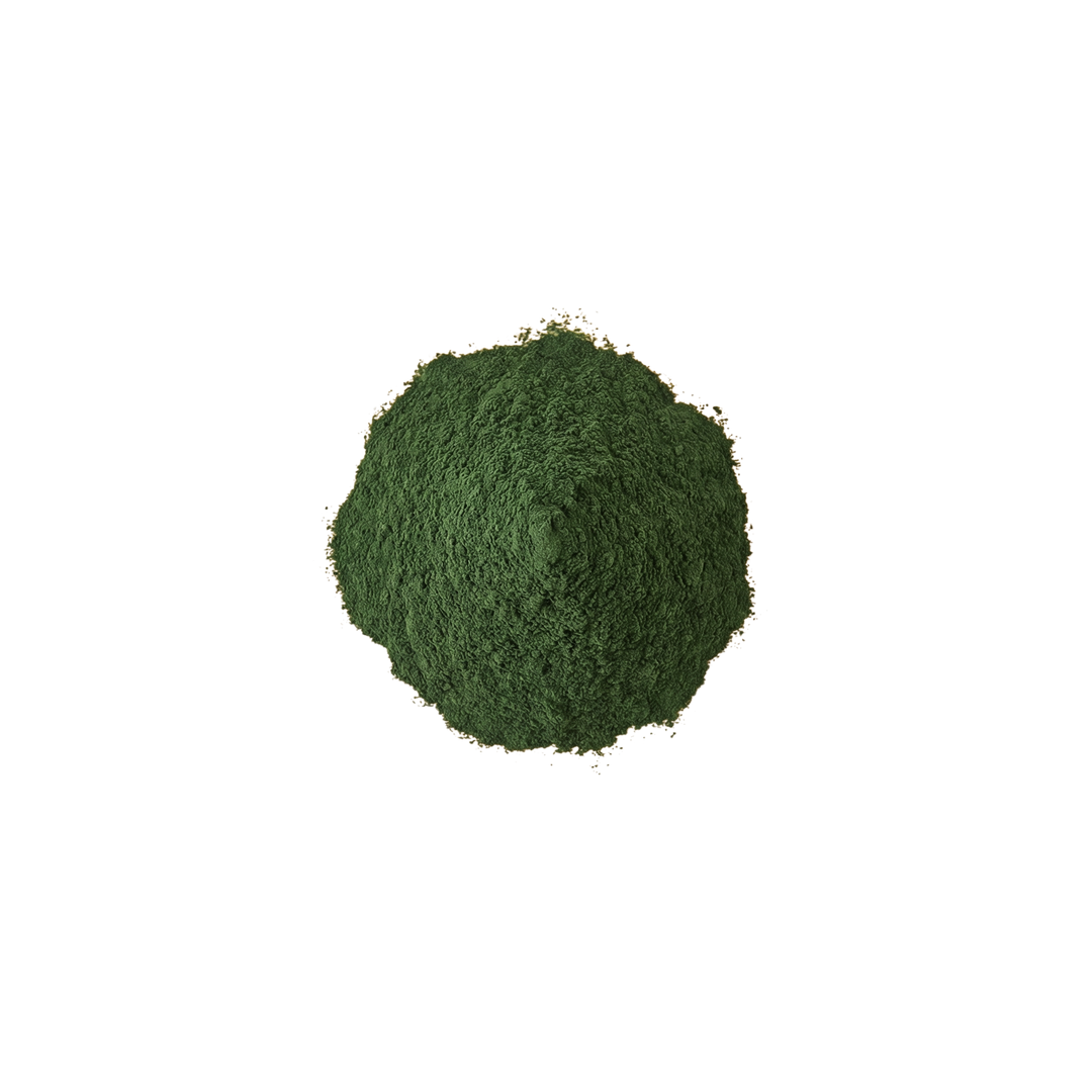 Poudre de Chlorella Vulgaris biologique