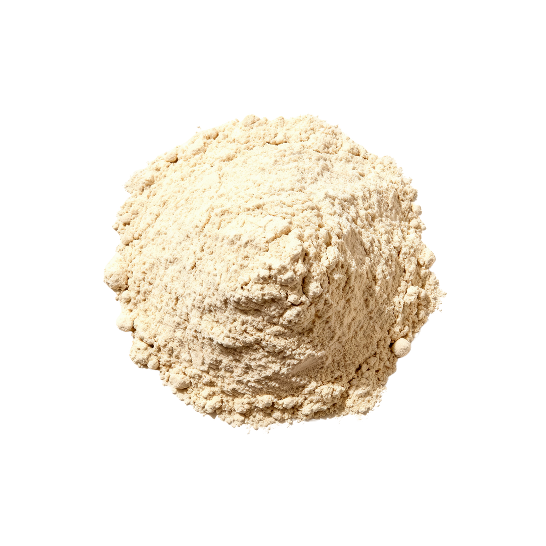 Poudre de protéines de vanille biologique